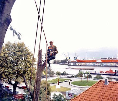 ARBOR VITA Baumpflege | Impressionen