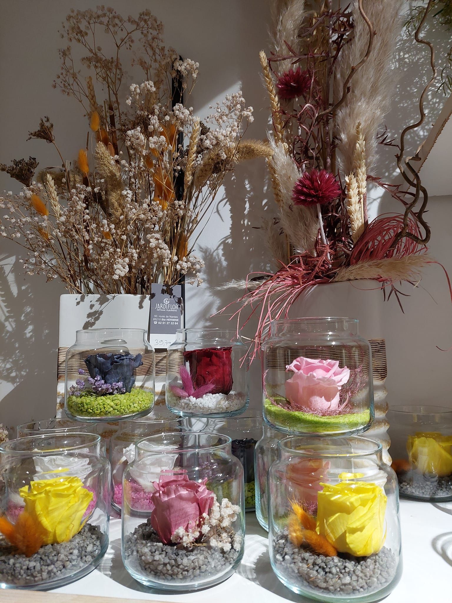 Roses éternelles colorées