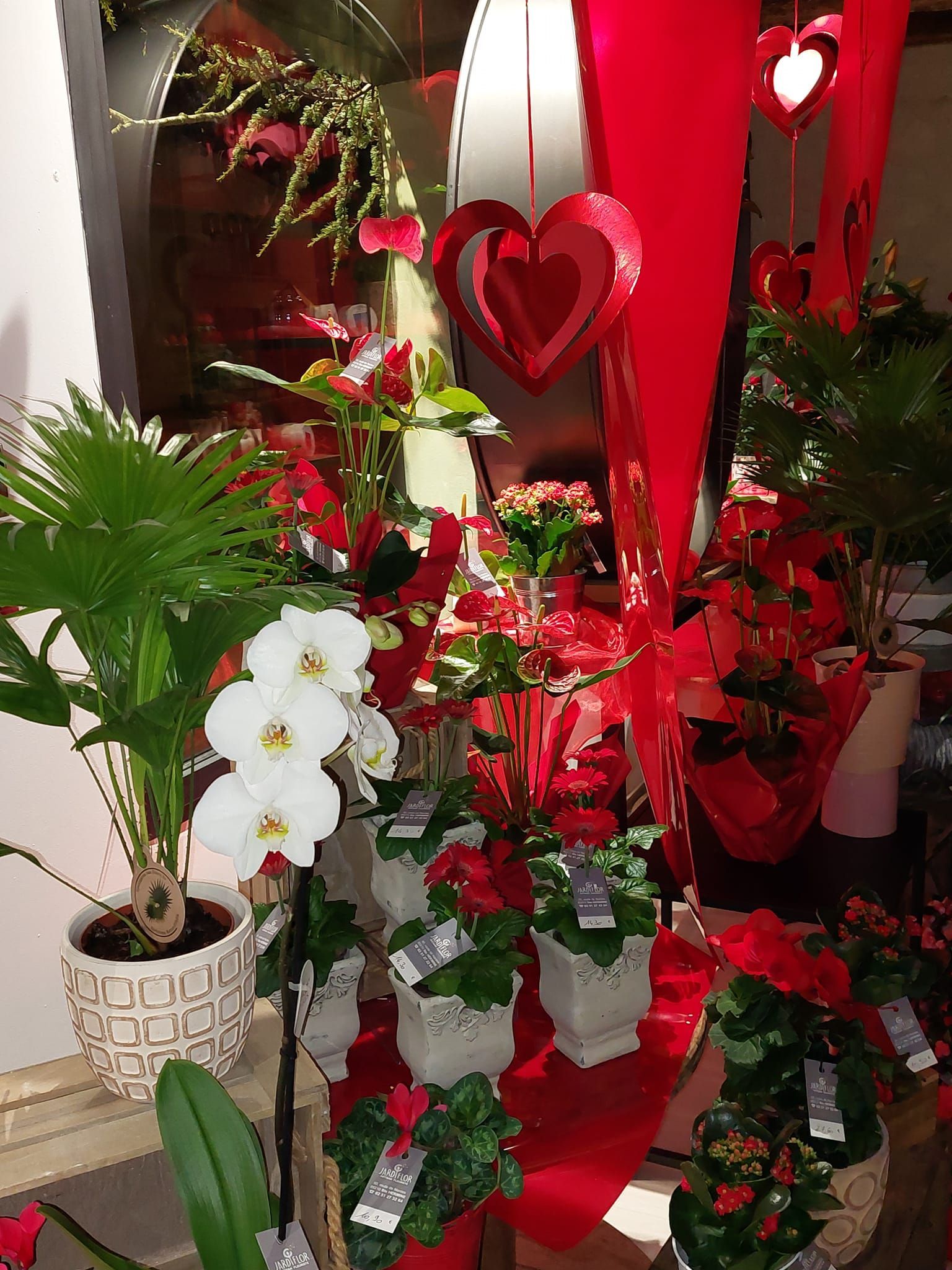 Fleurs saint valentin