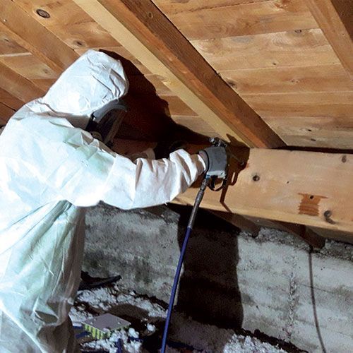 Photo d'un professionnel du traitement du bois