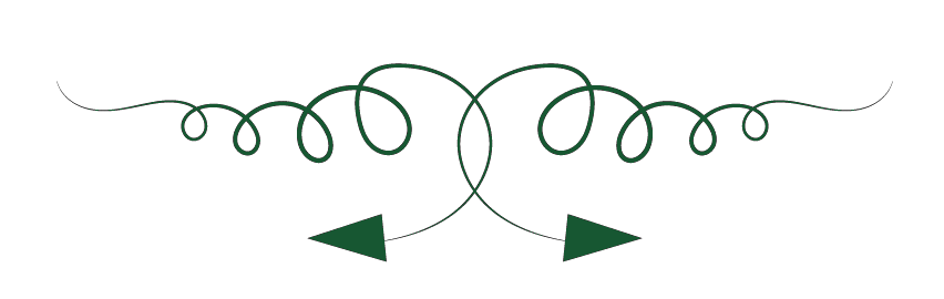Bak Organisation - logistique entrepôt