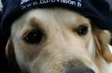 Mascotte du contrôle technique