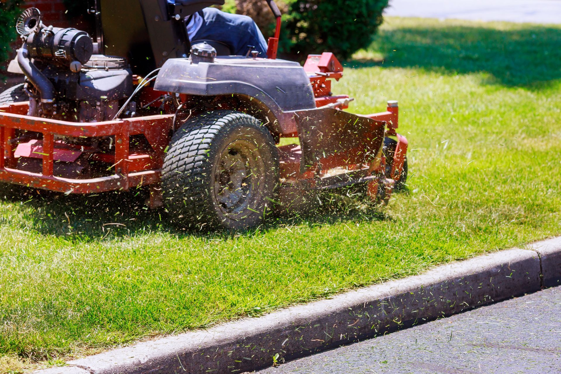 Tonte de pelouse avec une tondeuse autoportée