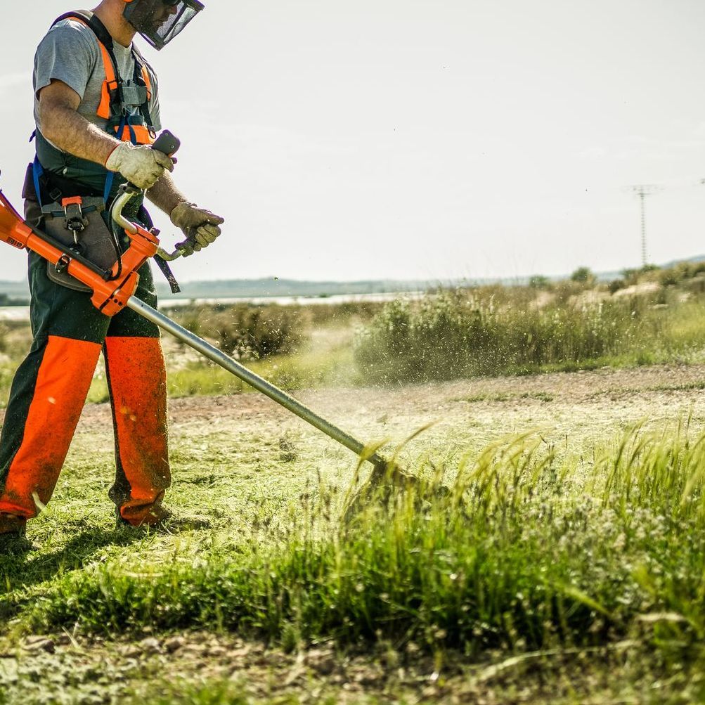 Débroussaillage de terrain