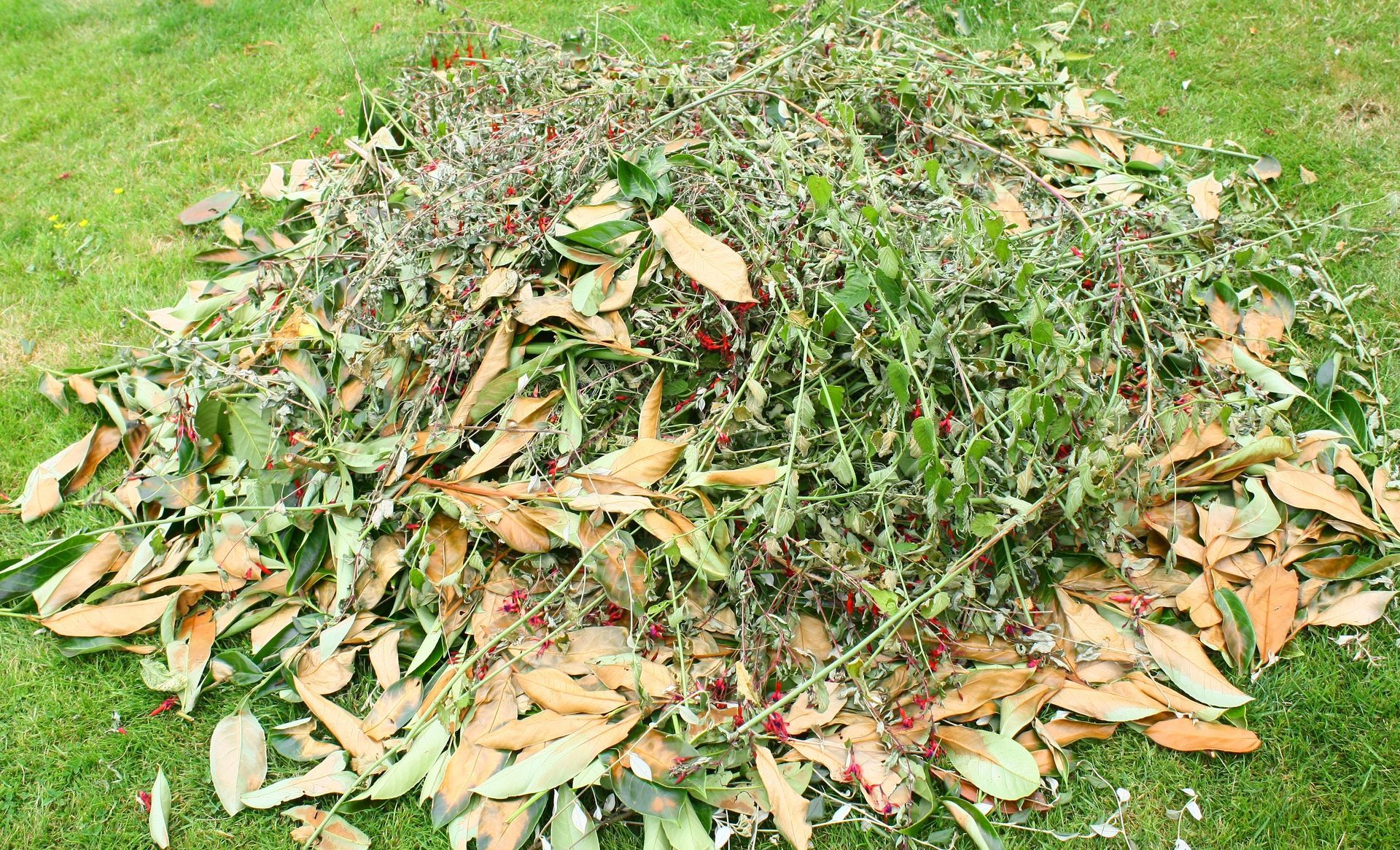 Déchets verts entassés