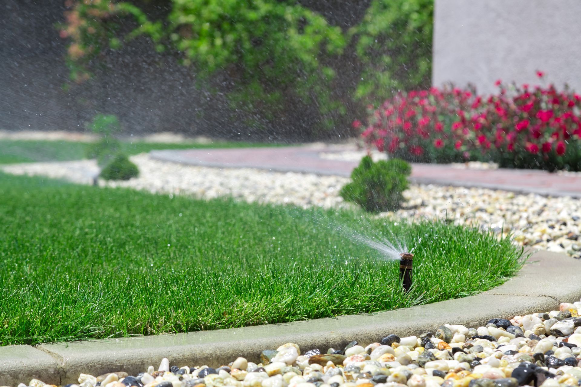 Jardin aménagé avec un arrosage automatique