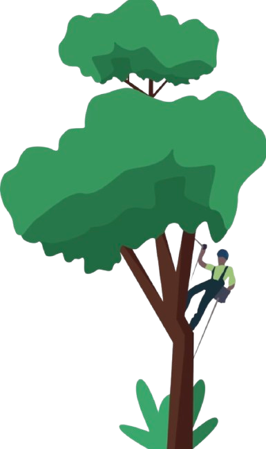 Logo de l'entreprise ASRD Jardin