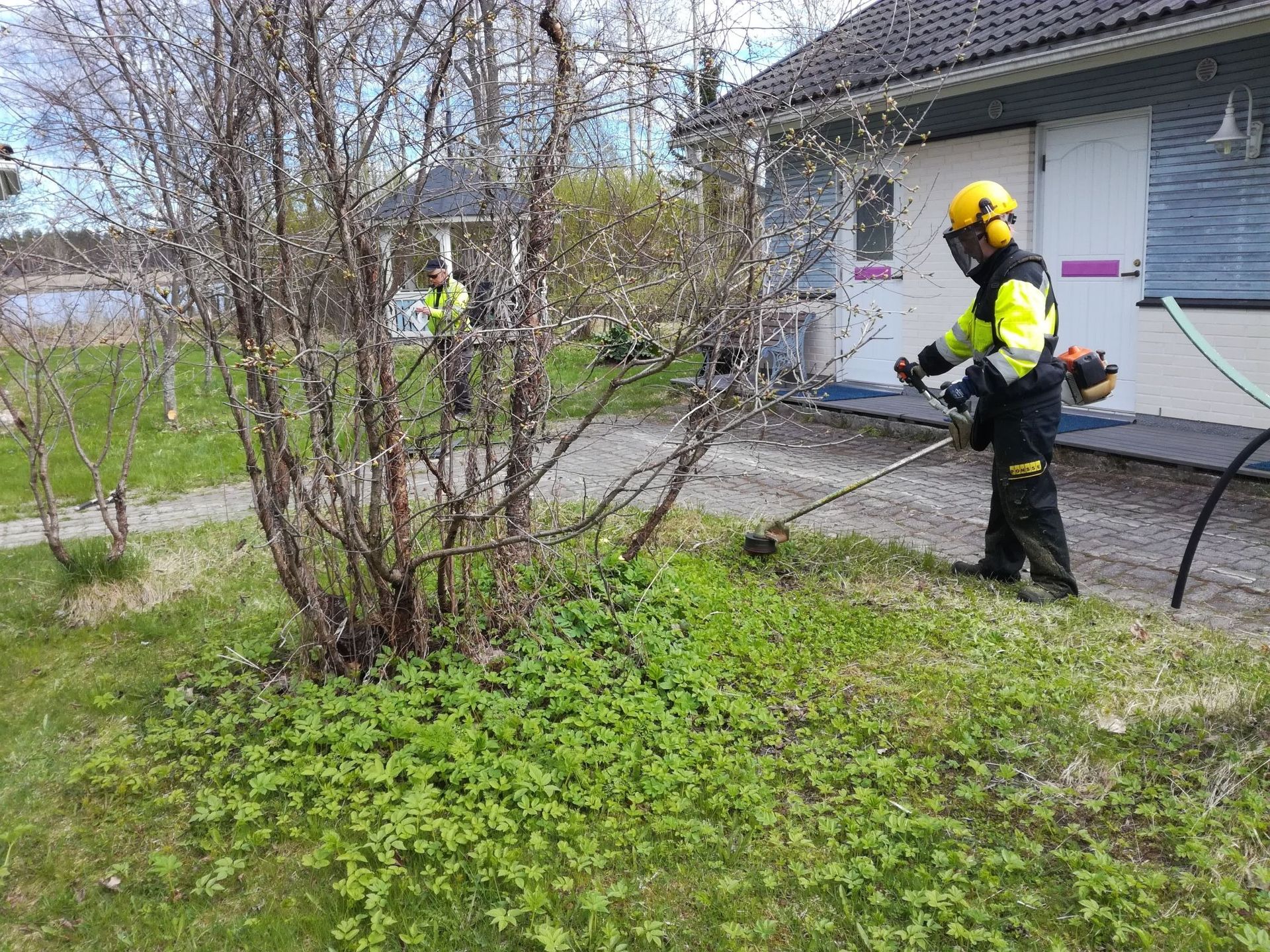 Palomiehet suihkuttavat vettä talon tulipalopaikalle pihan ja pensaiden vieressä