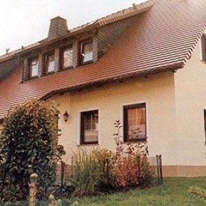 Braunes Ziegeldach mit einer Reihe kleiner Dachgauben.