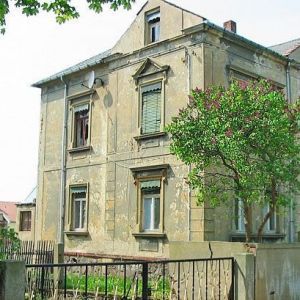 Detail eines alten, verwitterten Hauses mit Stuckverzierungen um die Fenster und einem blühenden Fliederbusch im Vordergrund.