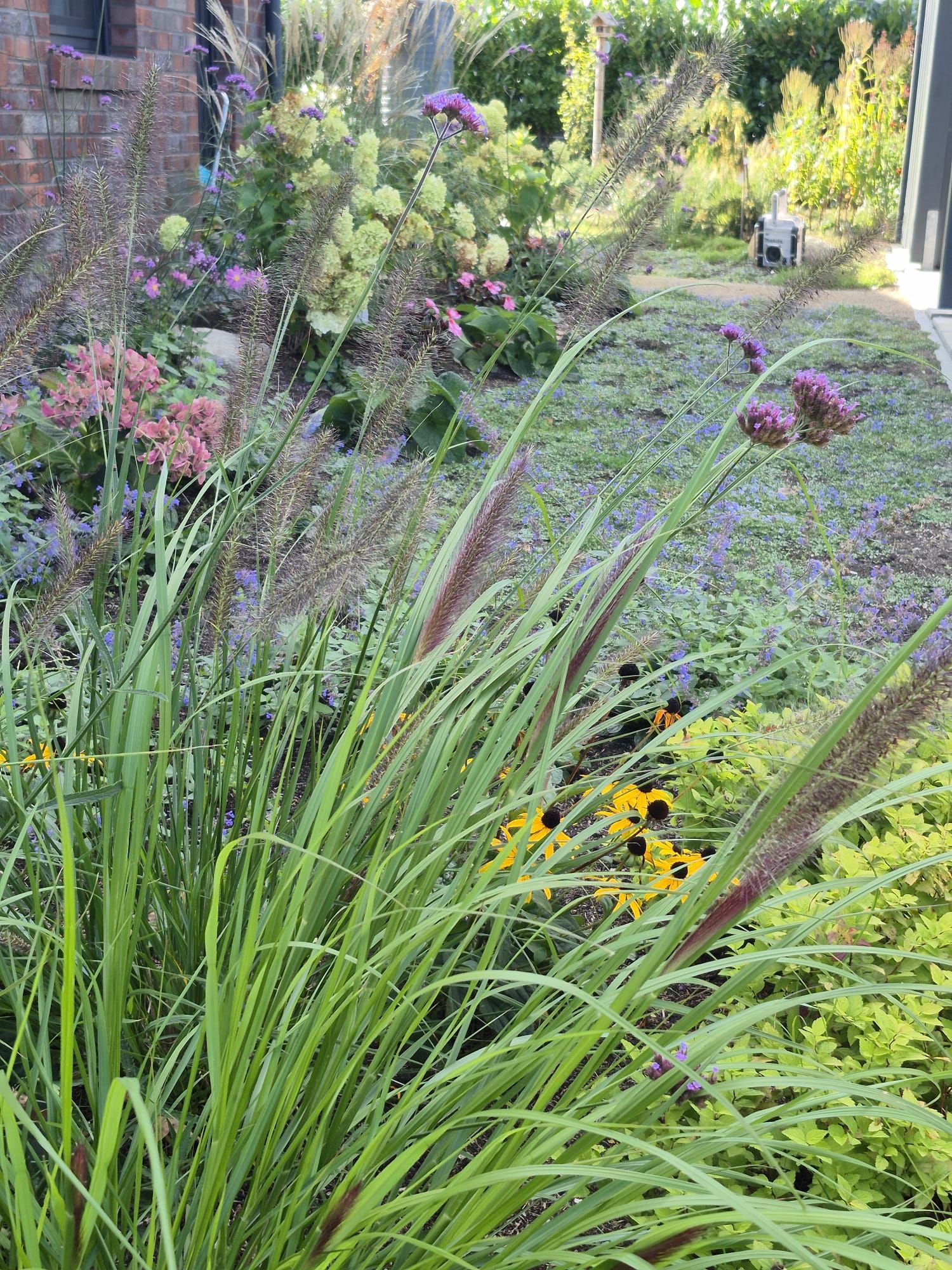 Grünes und braunes Ziergras im Fokus, dazwischen ein Garten mit verschiedenen blühenden Pflanzen.