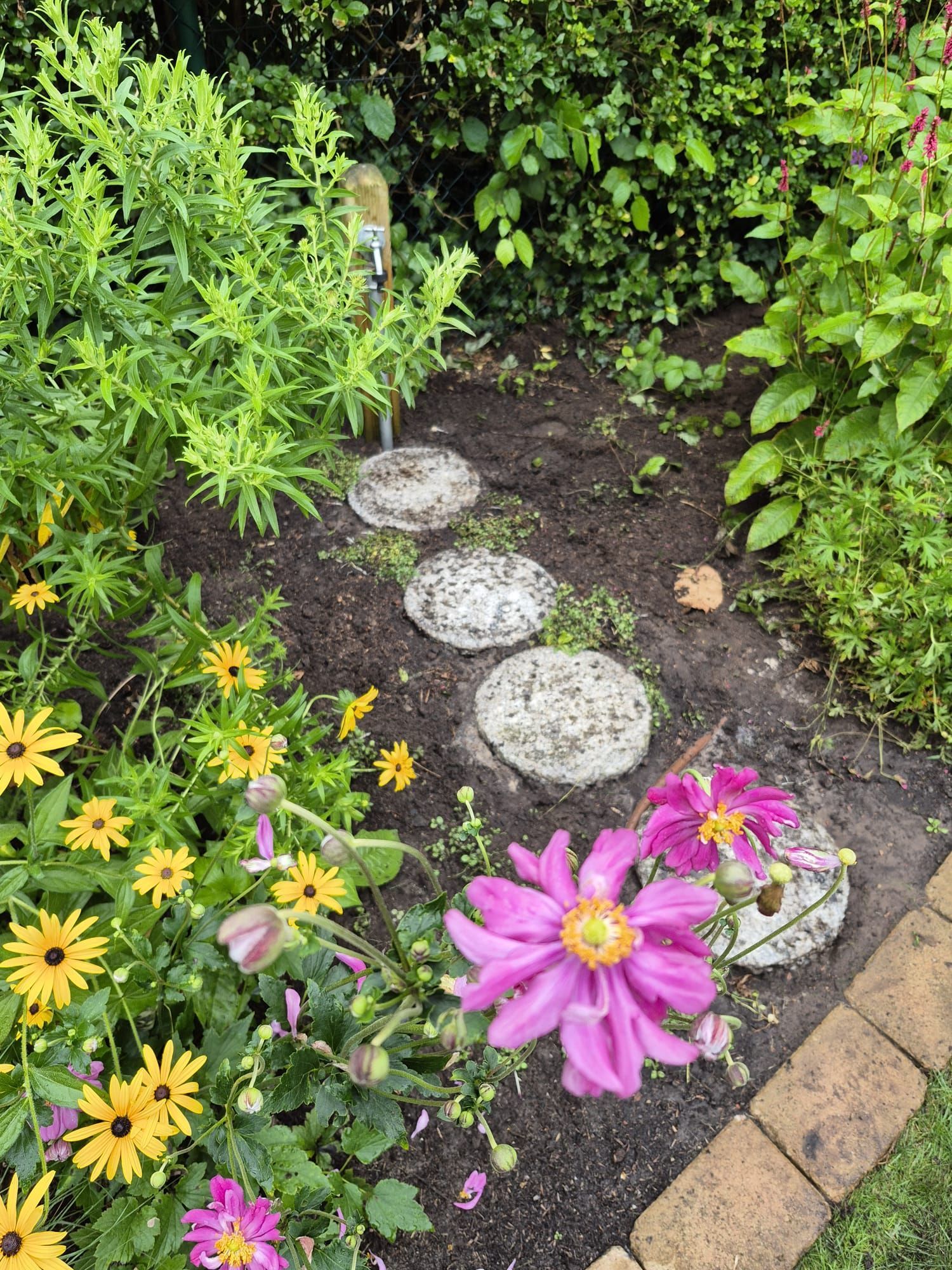 Trittsteine ​​in einem Gartenbeet mit blühenden gelben und rosa Blumen.