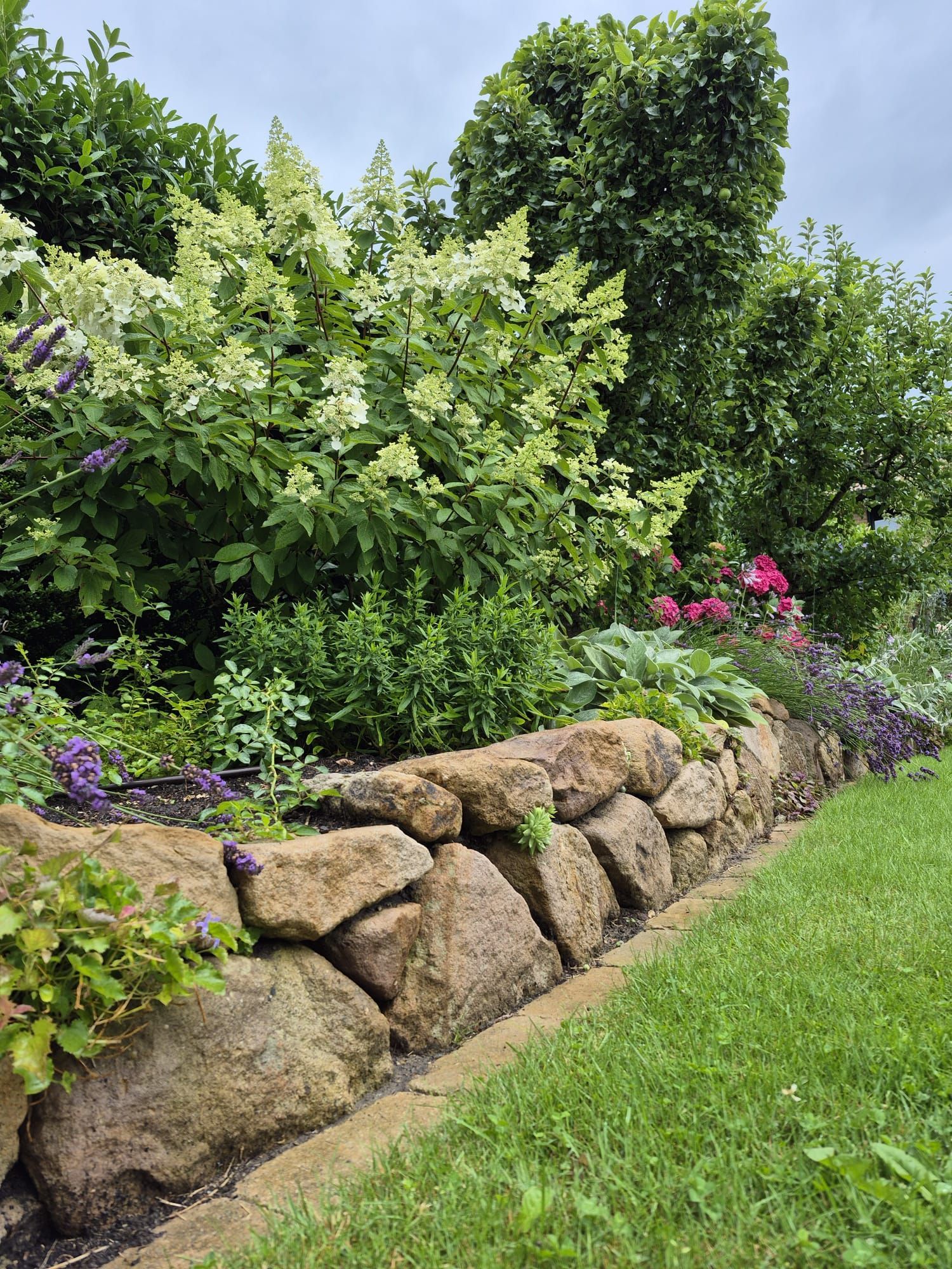 Steinmauer mit einem üppigen Garten, der mit weißen, rosa und violetten Blüten sowie grünem Laubwerk geschmückt ist.
