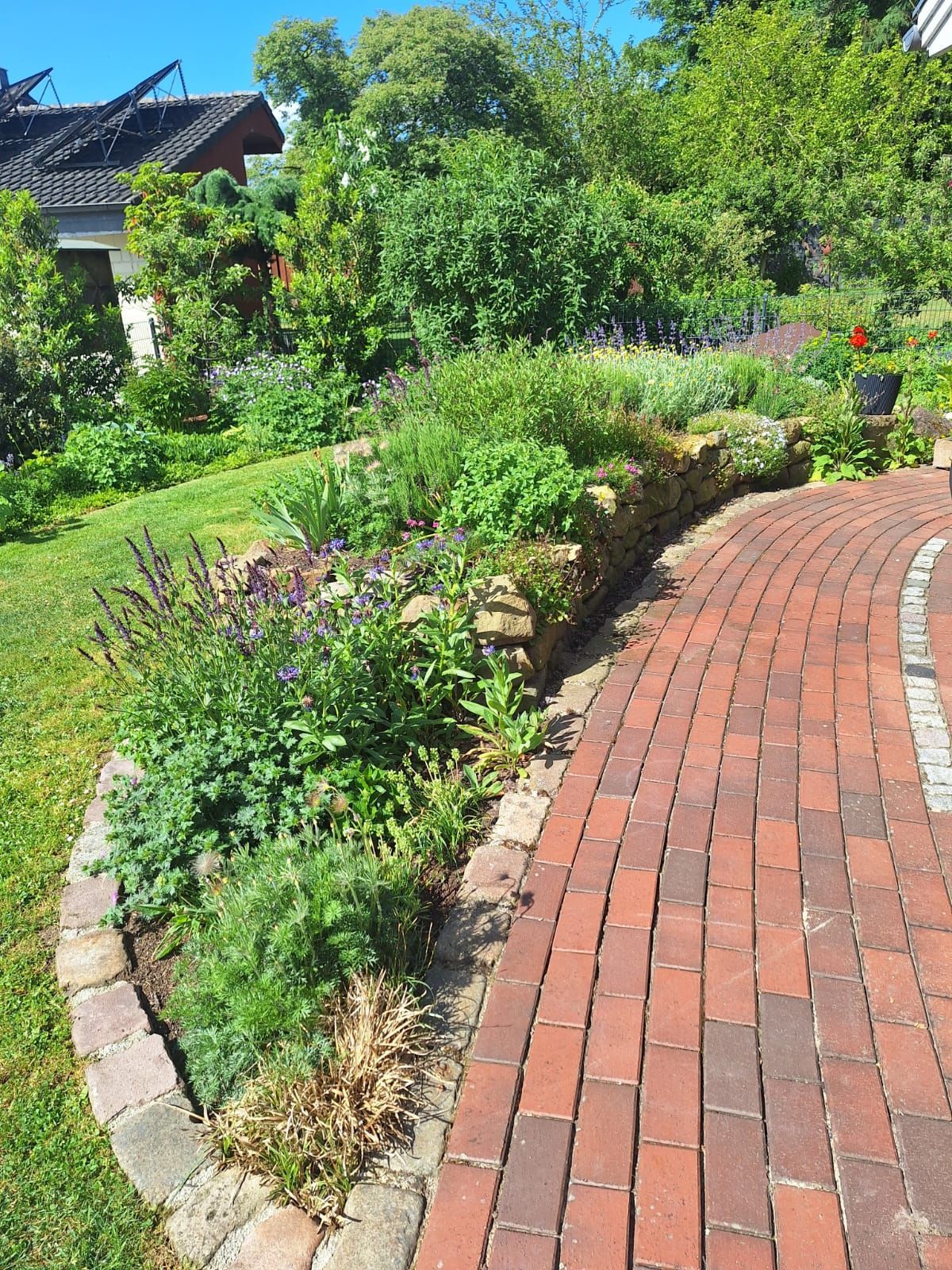 Ein Ziegelweg schlängelt sich an einem Hochbeet mit verschiedenen grünen und violetten Pflanzen vorbei.