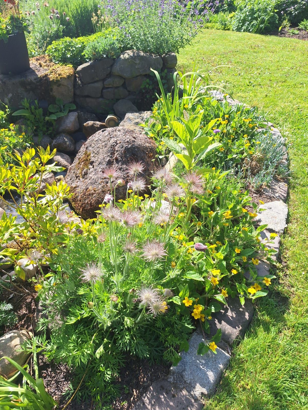 Farbenfrohes Gartenbeet mit Steineinfassung, üppig grünen Pflanzen und sonnengelben Blüten.
