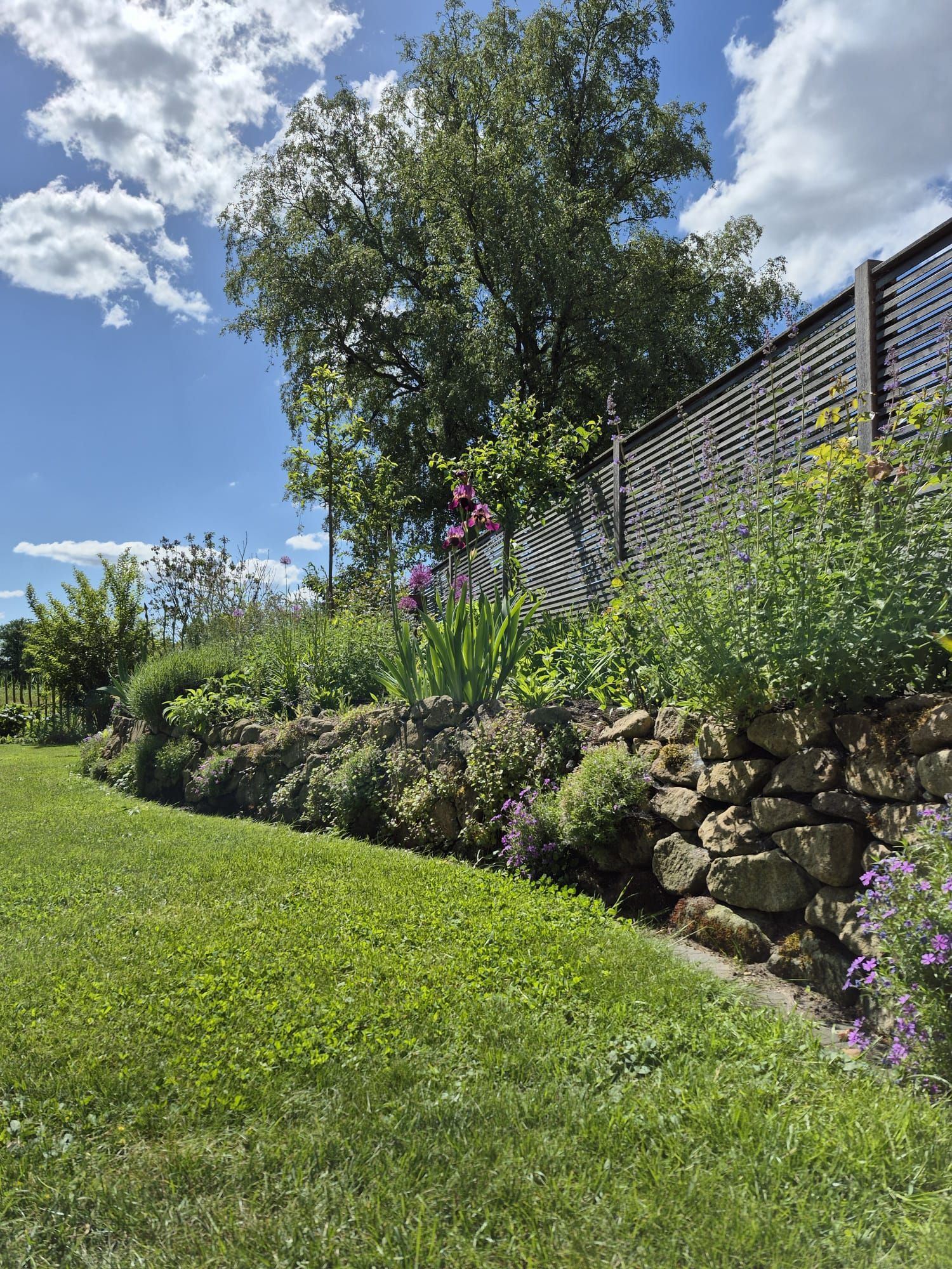 Saftig grüner Rasen mit Steingarten und Holzzaun unter strahlend blauem Himmel mit bauschigen weißen Wolken.