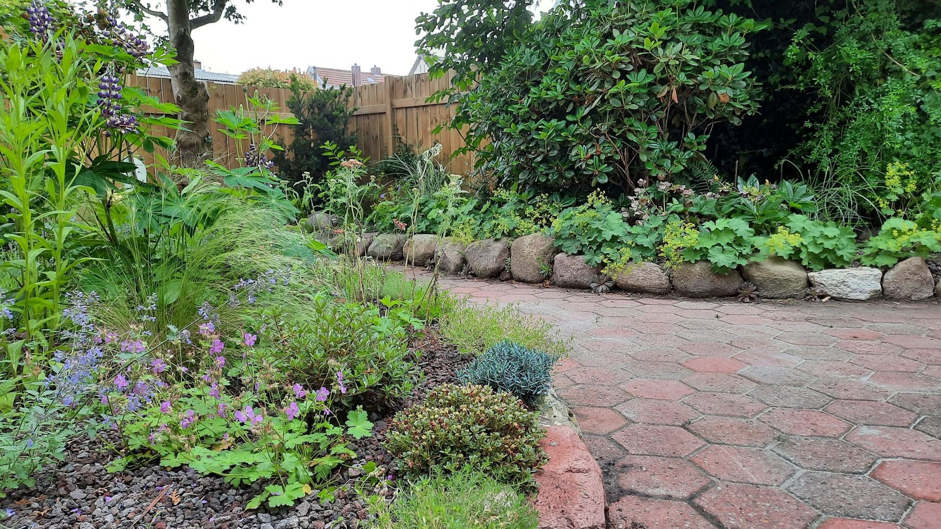 Ein Pfad führt durch einen üppigen Garten mit vielfältigen Pflanzen, der von Steinen gesäumt und von einem Holzzaun begrenzt wird.