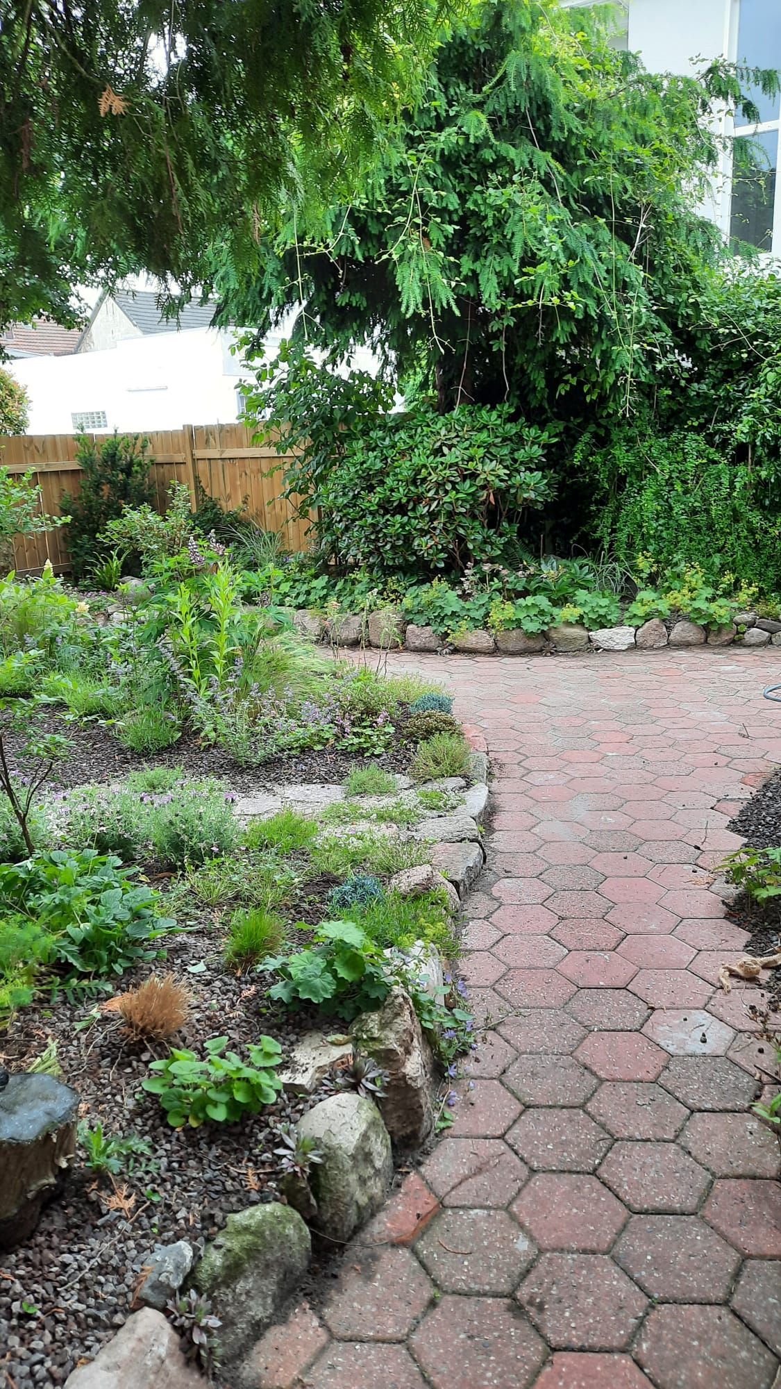 Ein Gartenweg aus roten sechseckigen Pflastersteinen liegt neben einem Hochbeet mit Pflanzen, Bäumen und einem Holzzaun.