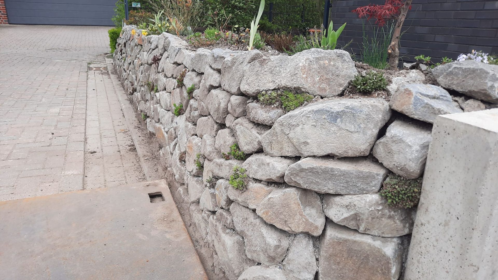 Eine mit Pflanzen bewachsene Steinmauer steht neben einer gepflasterten Auffahrt.