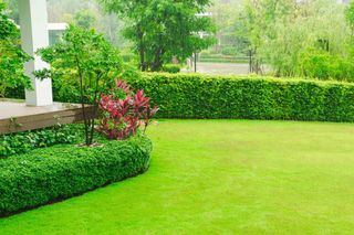Gartenpflege