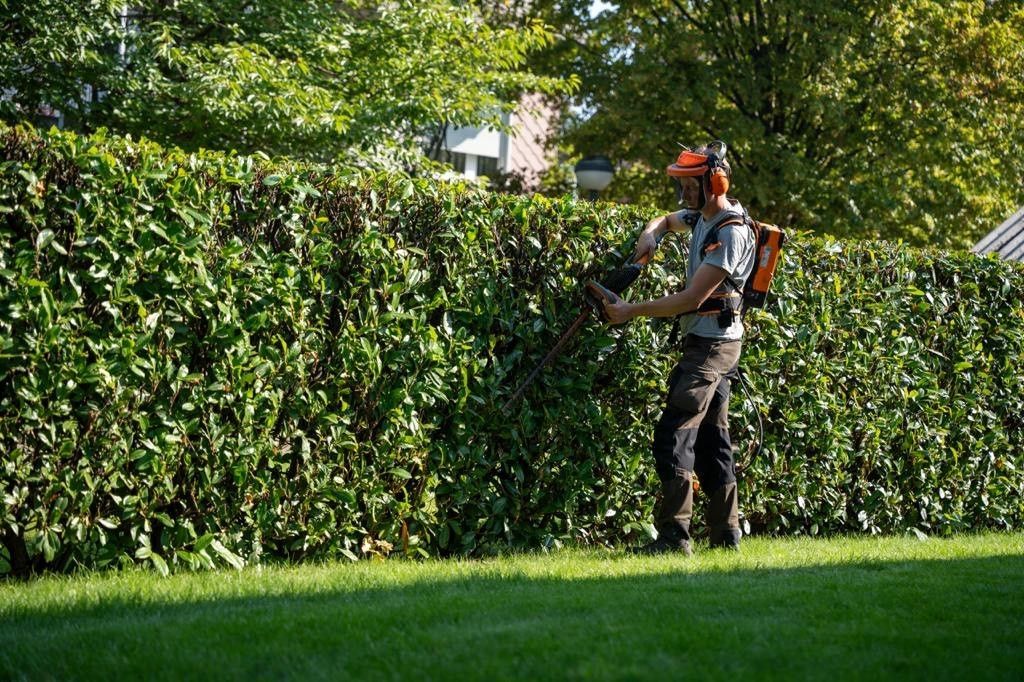 Ein Mann schneidet mit einer Heckenschere eine Hecke.