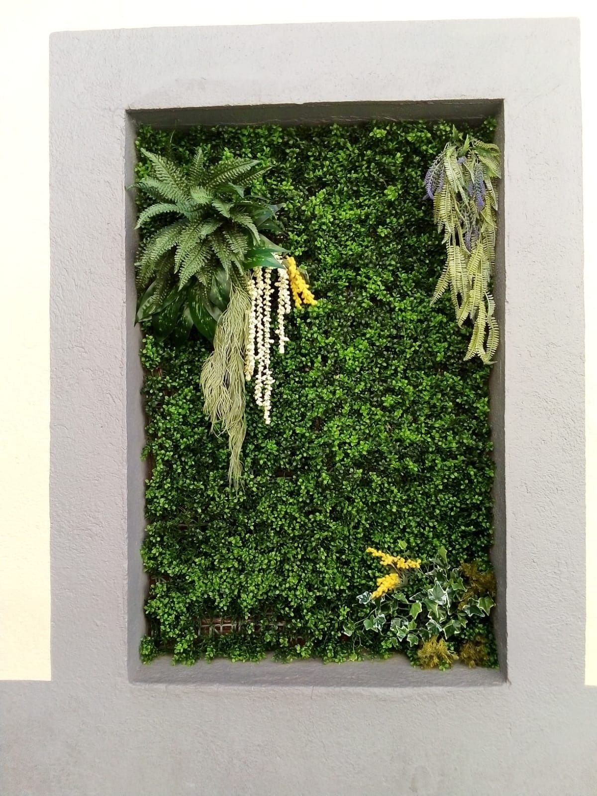 Una imagen de una pared verde con plantas.