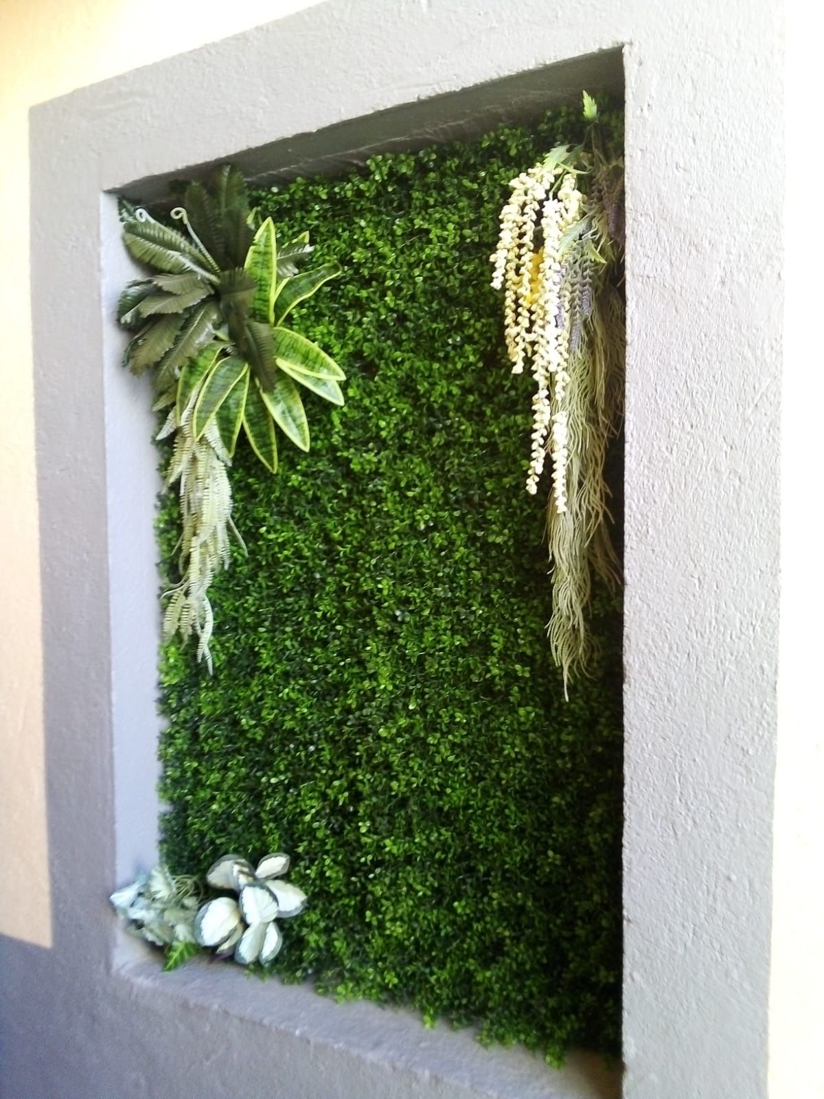 Una imagen de una pared verde con plantas colgando de ella.
