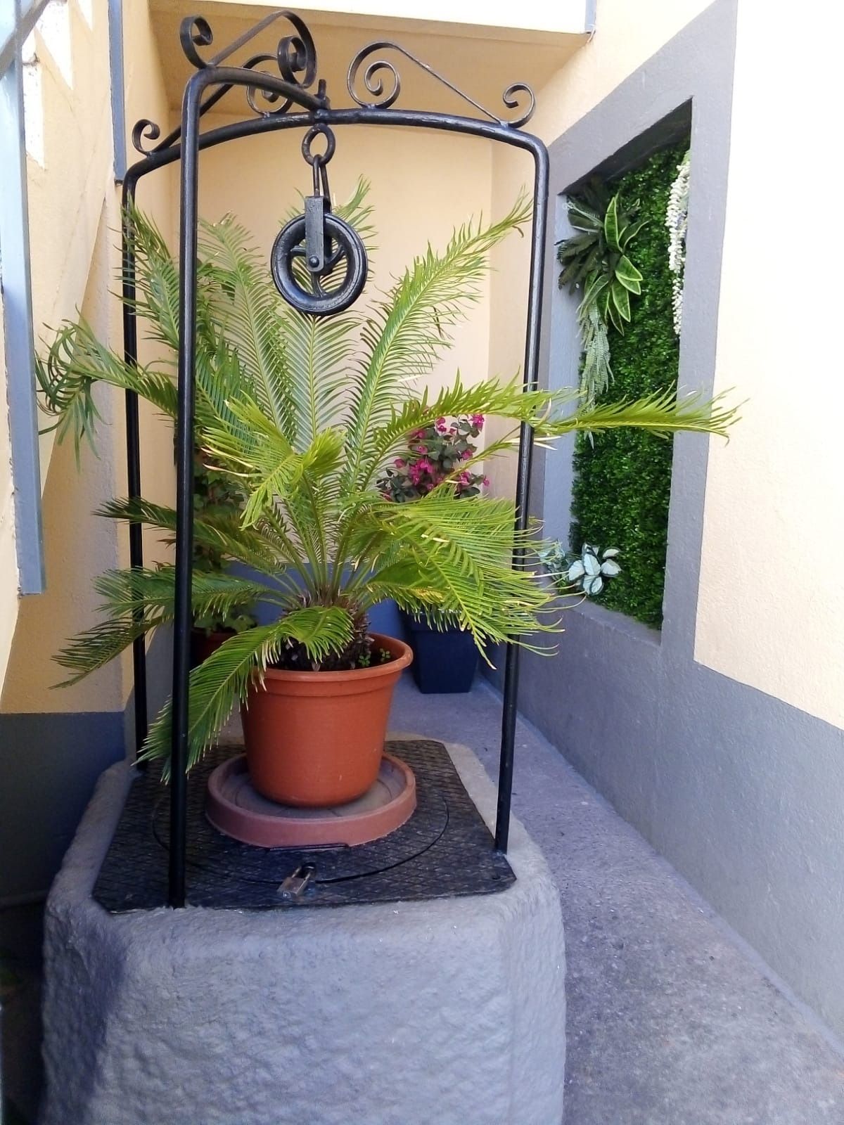 Una planta en maceta en un pozo con una polea unida a ella.