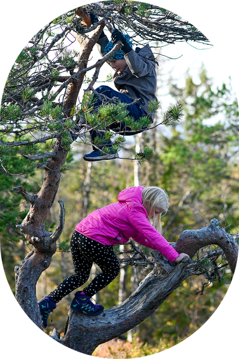 Tyttö ja poika kiipeilemässä puussa