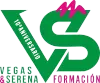 Logo verde y fucsia de Vegas & Serena Formación, con “10 aniversario” y una gran “VS”.