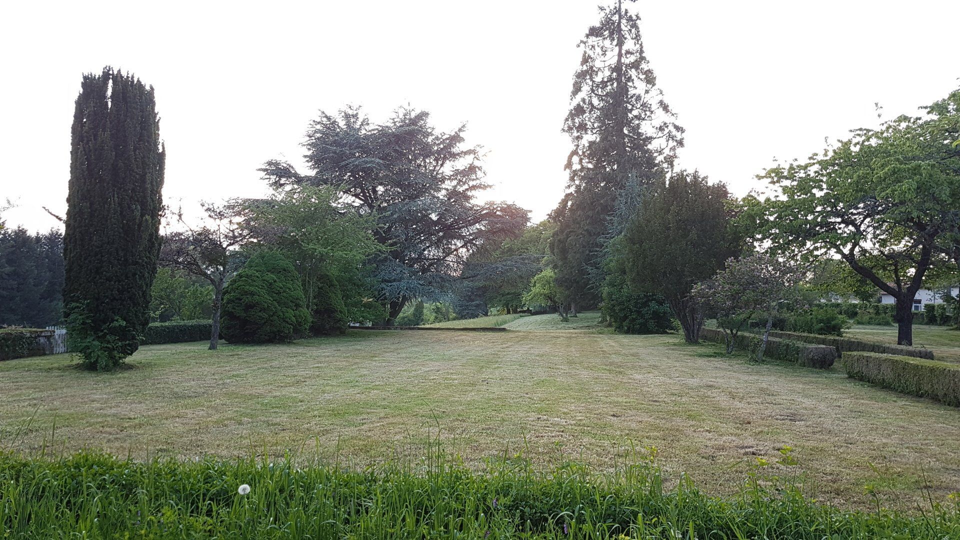 tonte de pelouse et fauchage