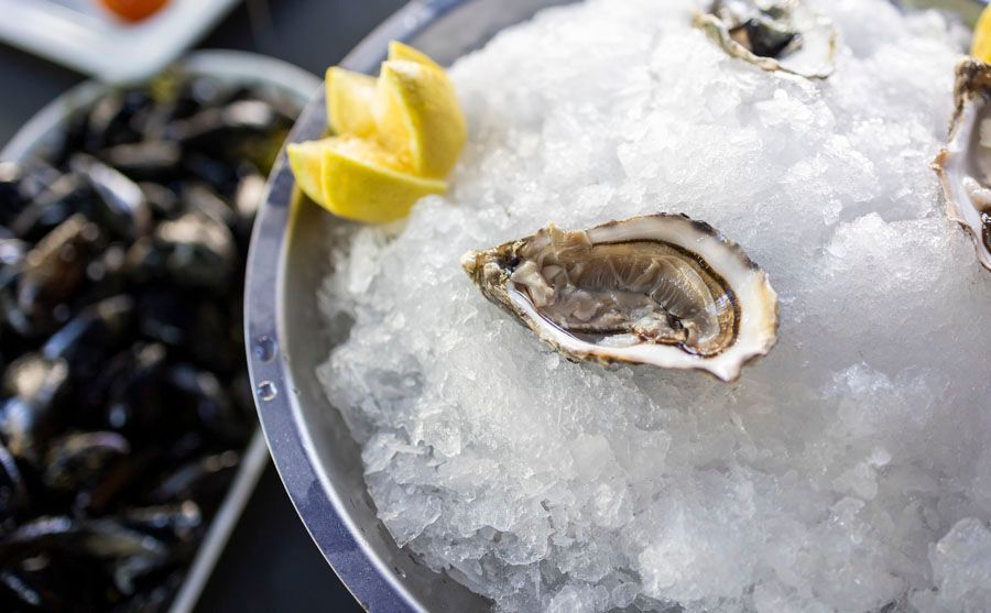 Austern liegen auf einem Eishaufen.