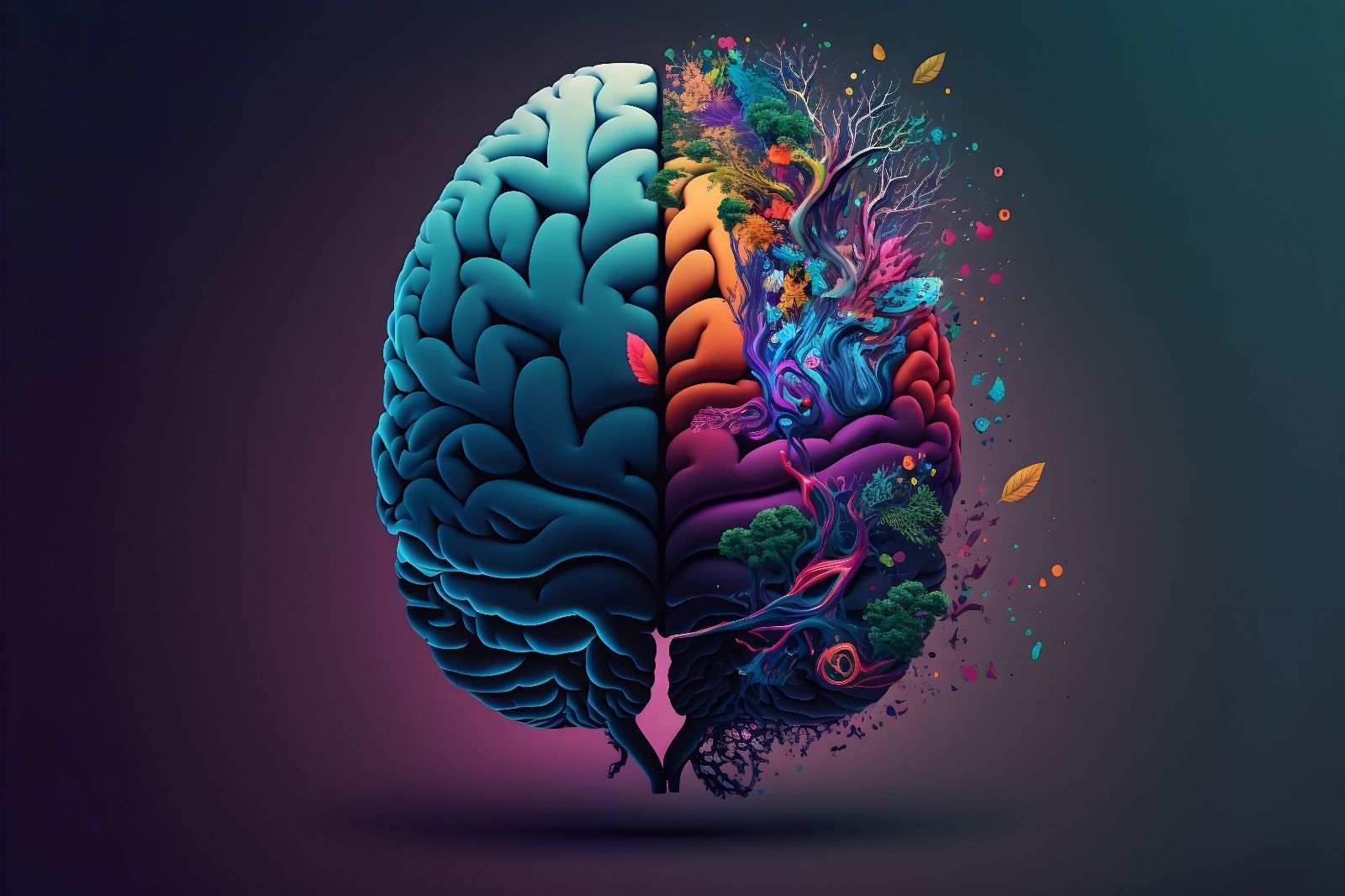 brain