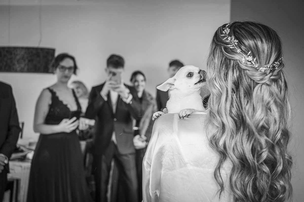 Una mujer con un vestido de novia sostiene un pequeño perro en sus brazos.