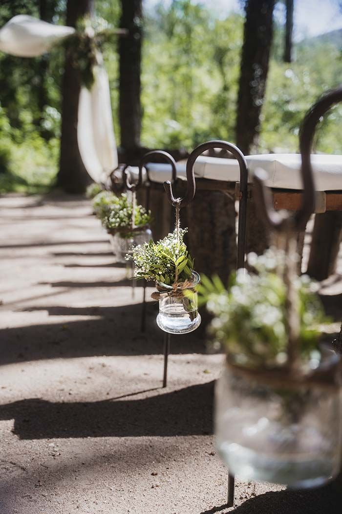 Una fila de frascos de vidrio llenos de plantas están alineados en una acera.