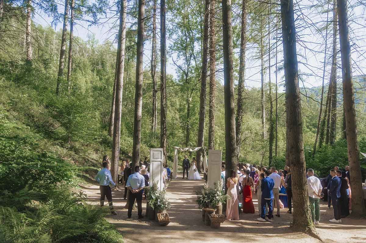 Un grupo de personas está de pie en medio de un bosque.