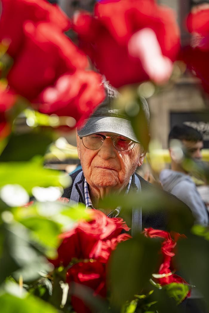 Un anciano está de pie en un jardín rodeado de flores rojas.