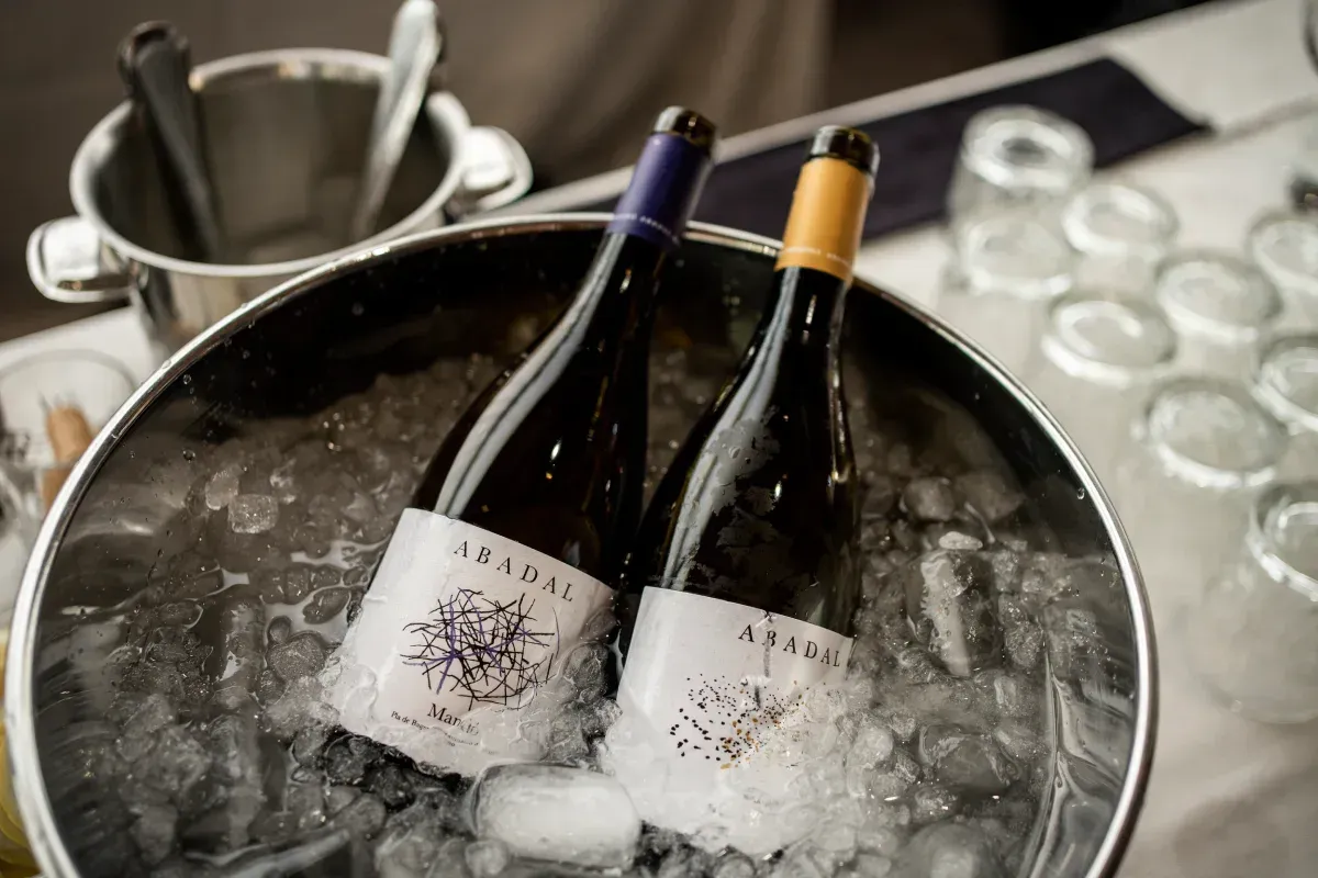 Dos botellas de vino están en un cubo de hielo.
