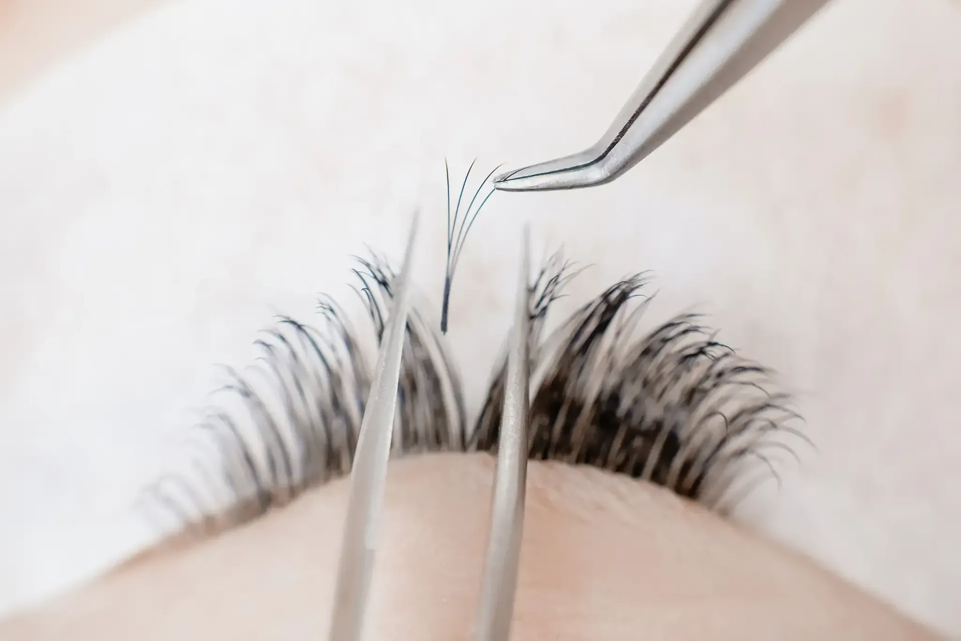 Extensiones de pestañas aplicadas con pinzas, primer plano del ojo.