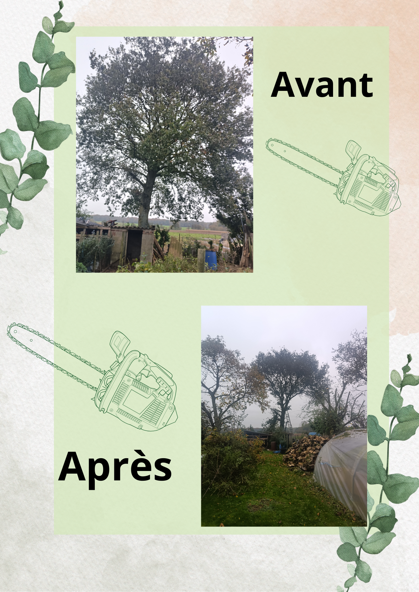 Entretien d'arbres.