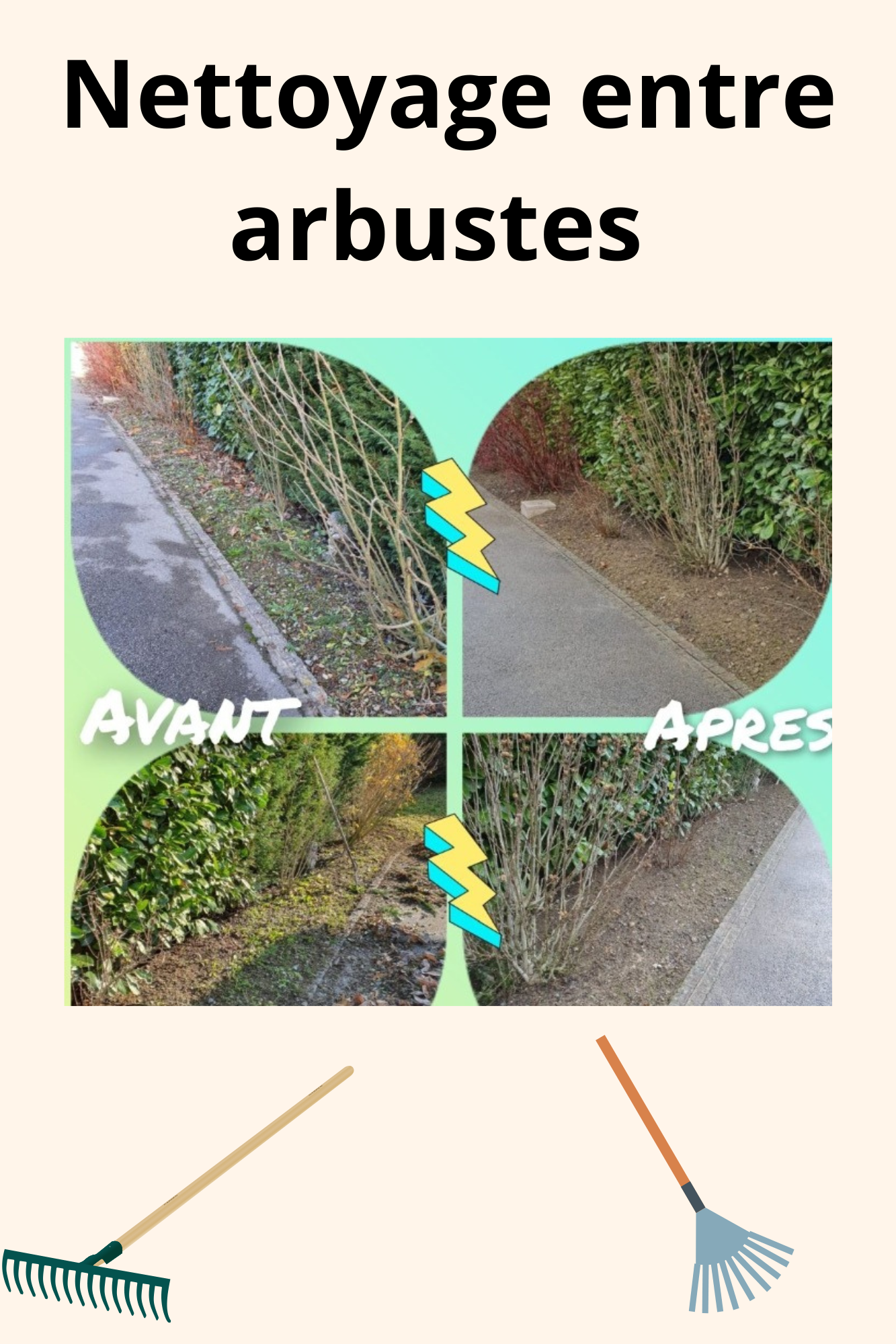 Nettoyage entre arbustes.