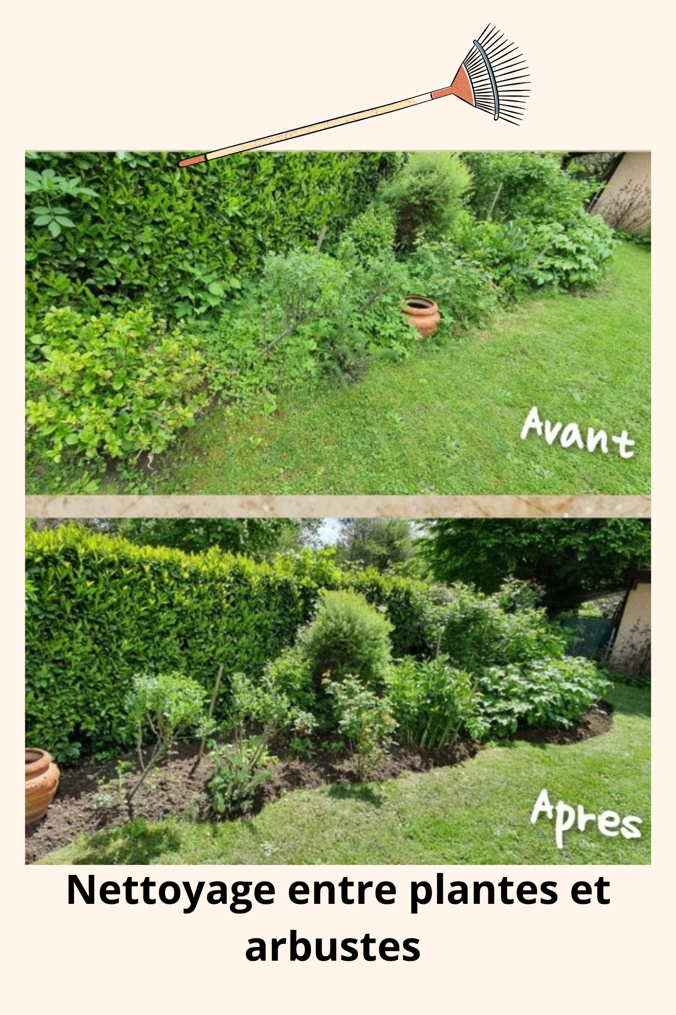 Taille de haies et désherbage.