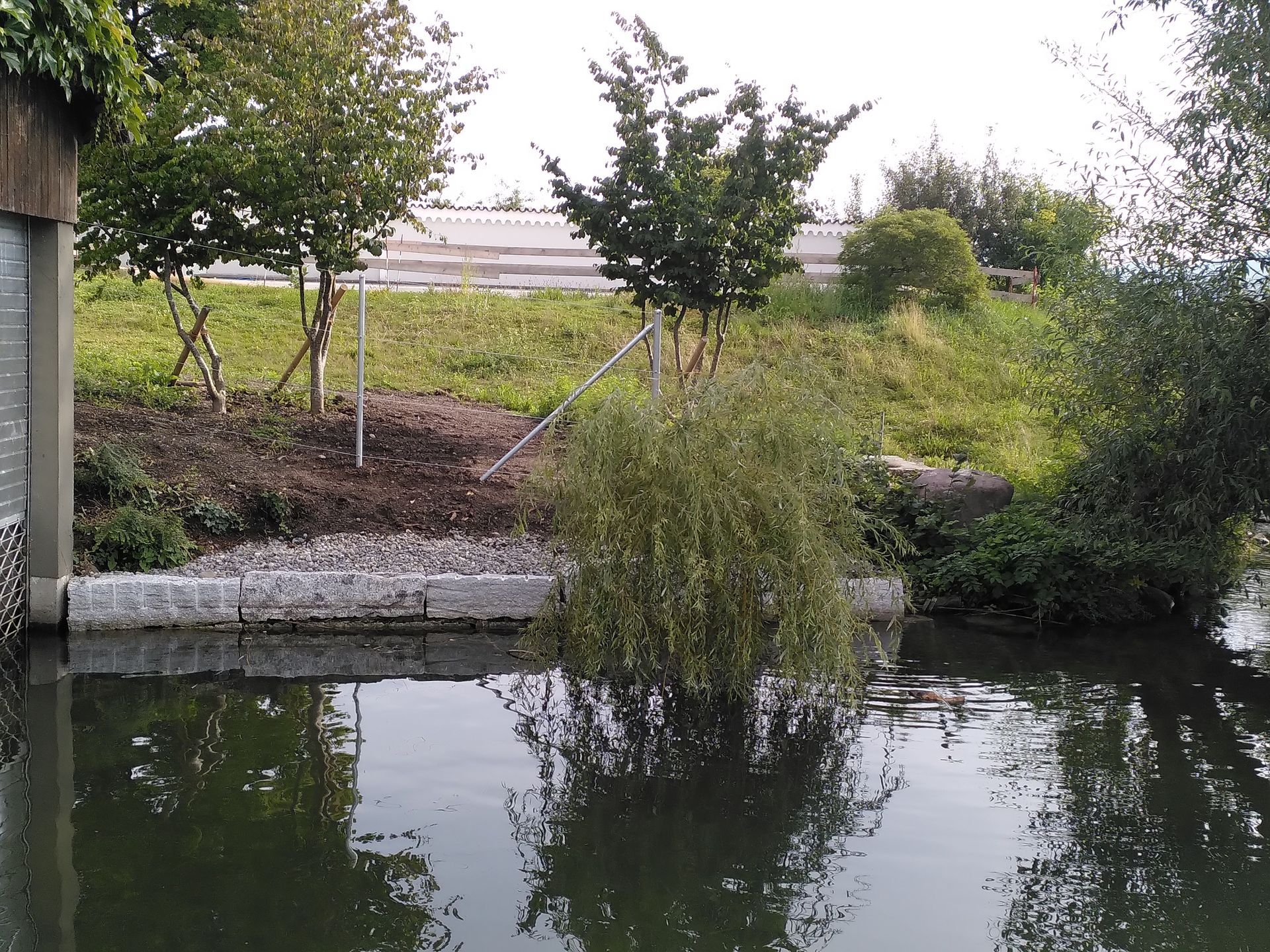 Gartenteich mit Sträuchern und Bäumen, die sich im ruhigen Wasser neben einem grasbewachsenen Ufer spiegeln