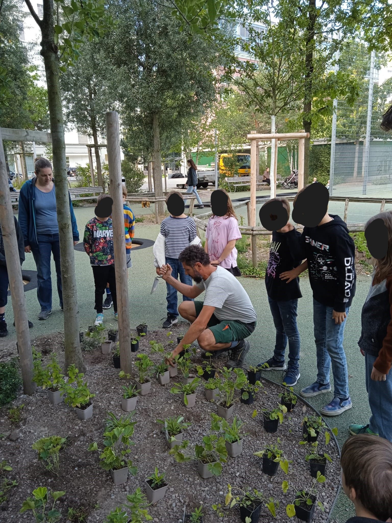 Menschen pflanzen kleine Sträucher in ein Beet neben einem Weg und Bäumen