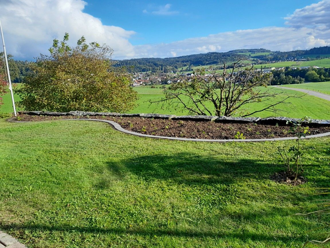 Grüner, grasbewachsener Hof mit einem geschwungenen Steinpflanzgefäss, Bäumen und sanften Hügeln im Hintergrund.