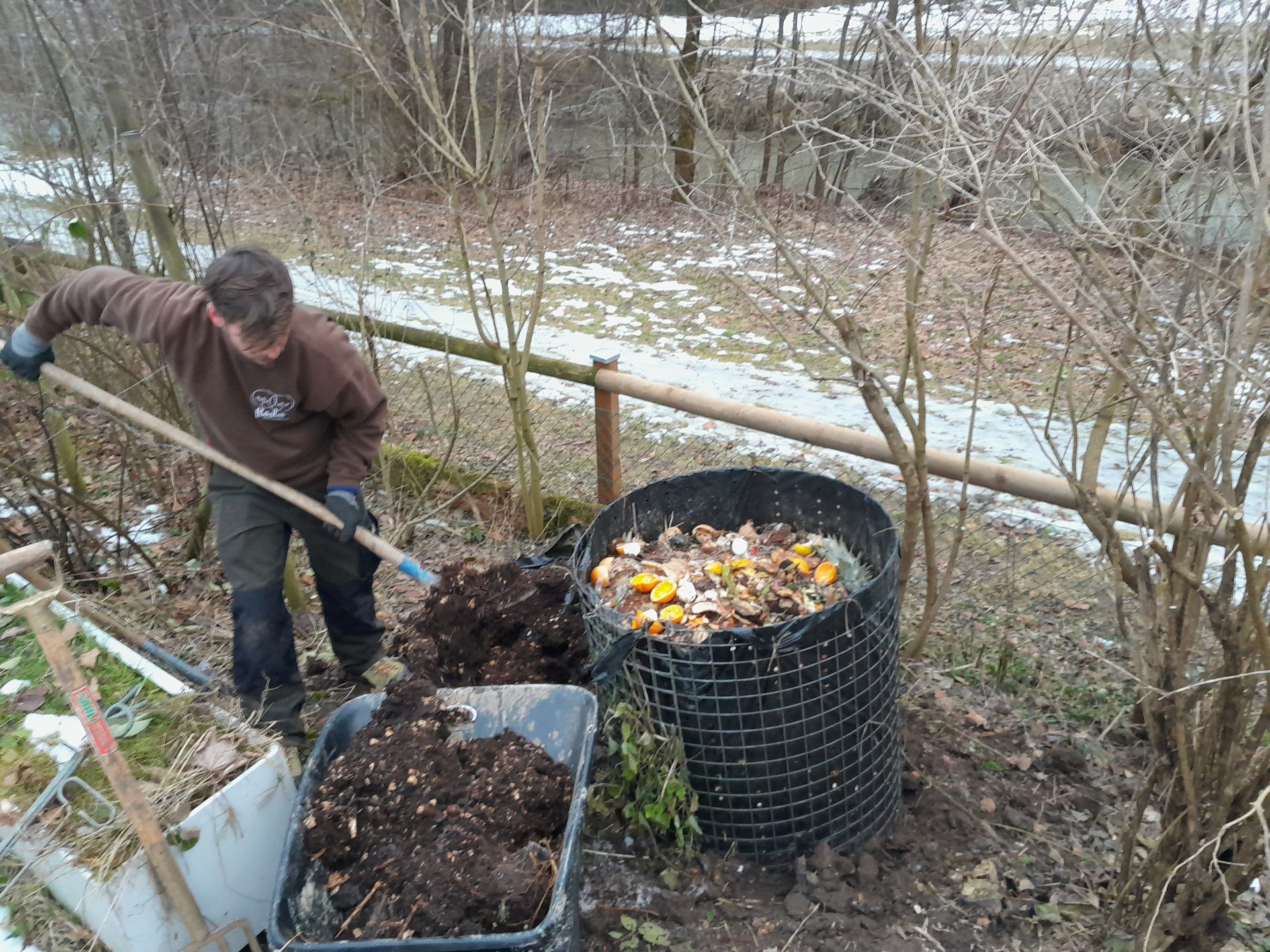 Eine Person schaufelt Kompost in einen Draht-Gartenbehälter neben einem verschneiten Weg im Freien.