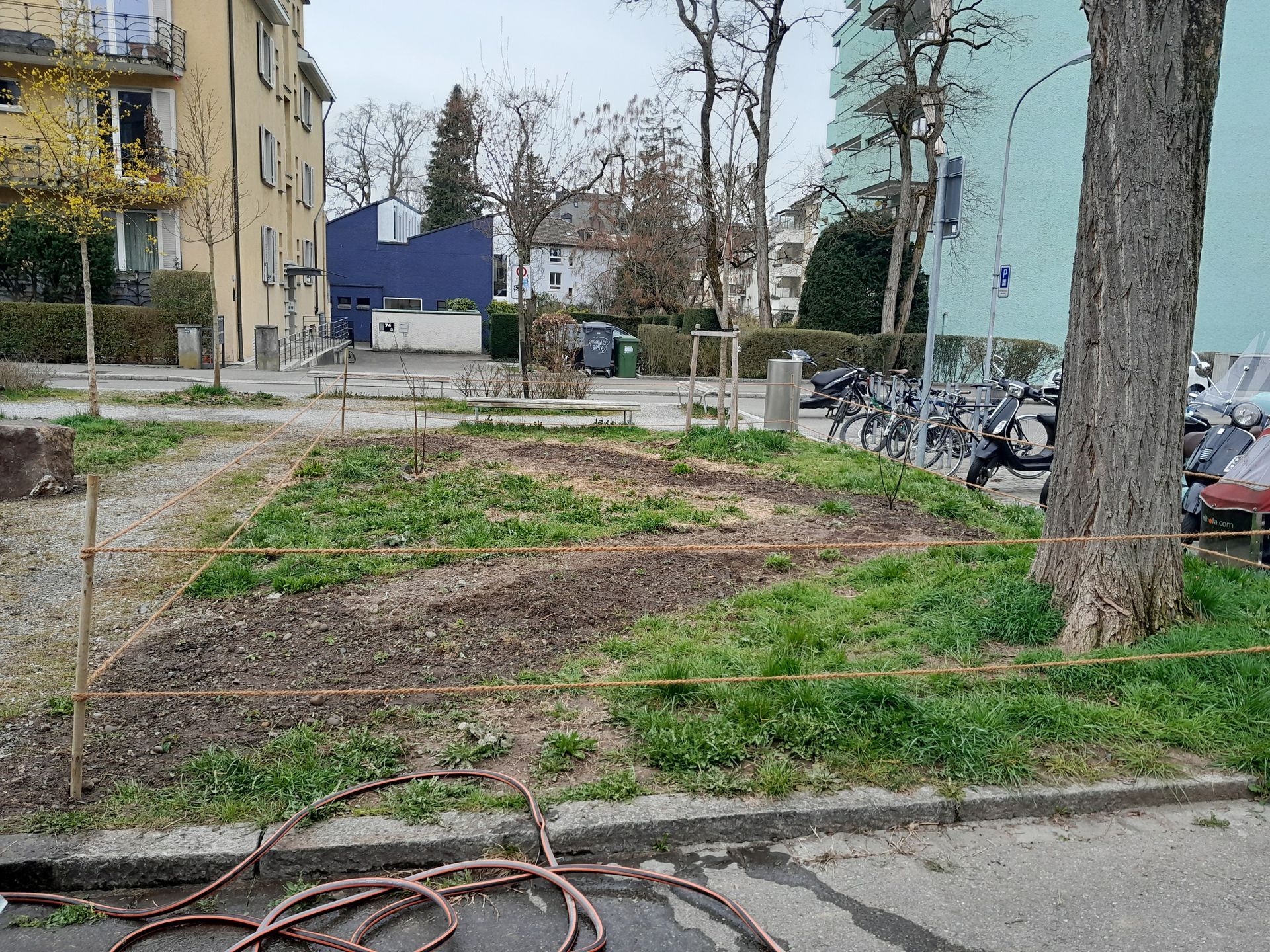 Ein grasbewachsener Innenhof mit kahlen Bäumen, Wohnhäusern und geparkten Autos an einem grauen Tag