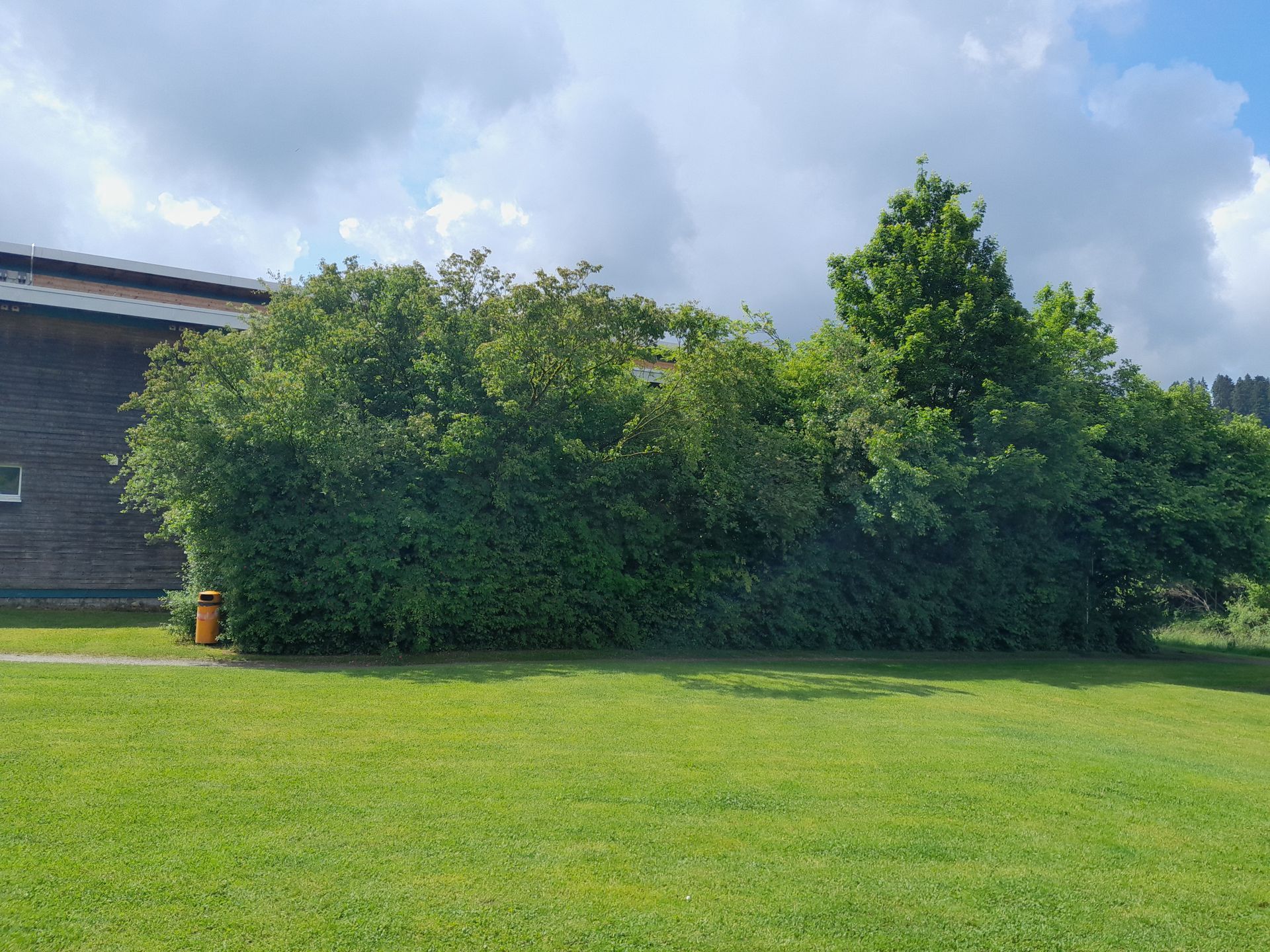 Eine grasbewachsene Rasenfläche neben dichten grünen Büschen und einer dunklen Hauswand unter einem bewölkten Himmel