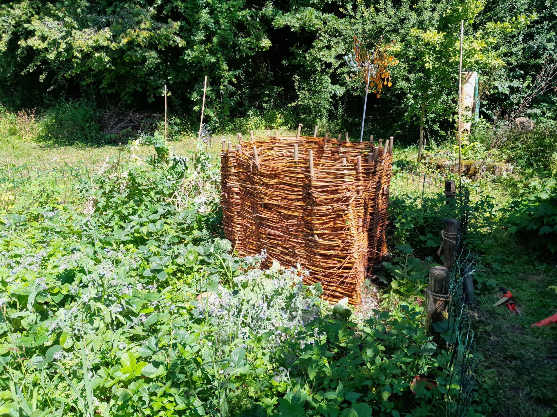Ein Kompostbehälter aus Weidengeflecht in einem üppig grünen Garten mit dichtem Gestrüpp und Bäumen im Hintergrund