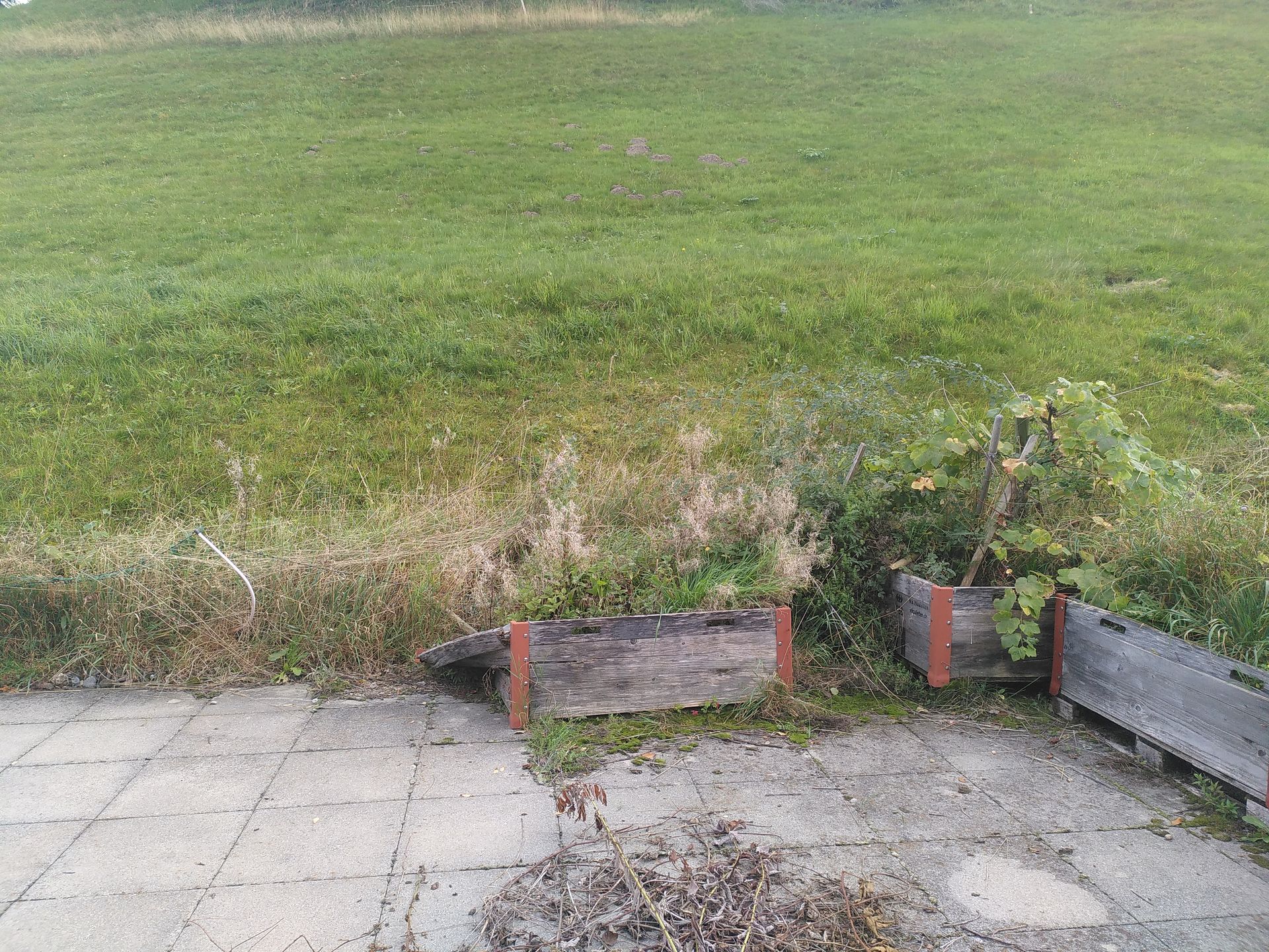 Hinter einer rissigen Terrasse erstreckt sich ein grasbewachsener Hof mit niedrigen Holzkübeln und Unkraut am Rand.
